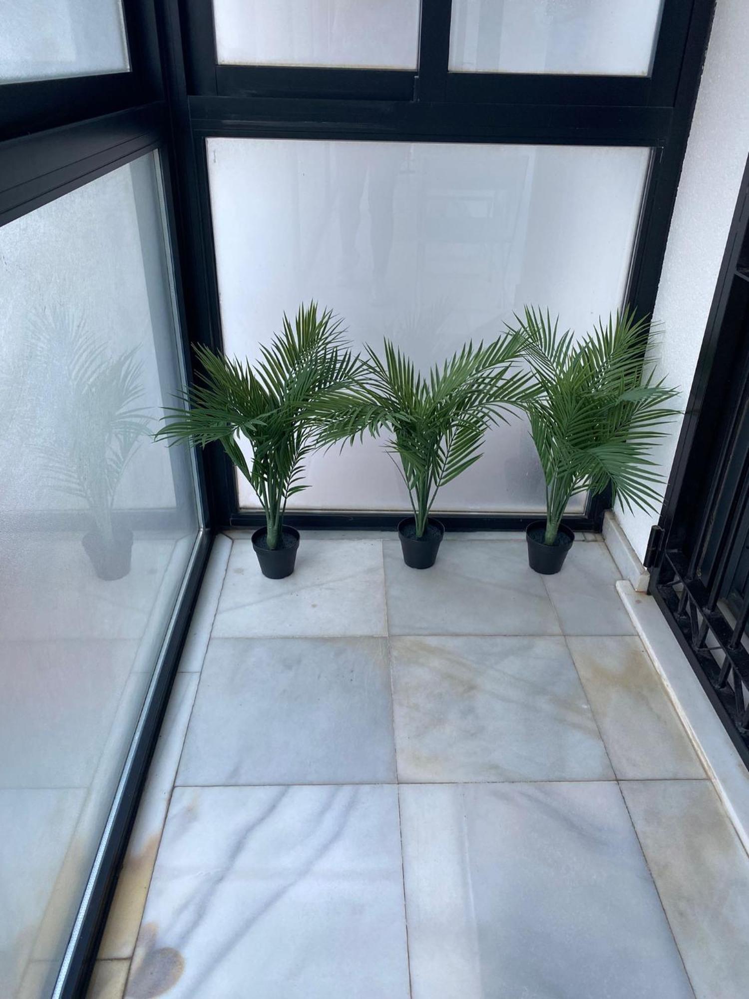 Apartamento Carvajal Beach Fuengirola Oda fotoğraf